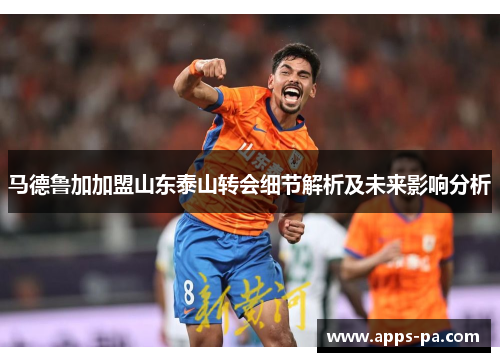 马德鲁加加盟山东泰山转会细节解析及未来影响分析